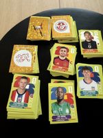 300+ Panini Bilder WM 2026