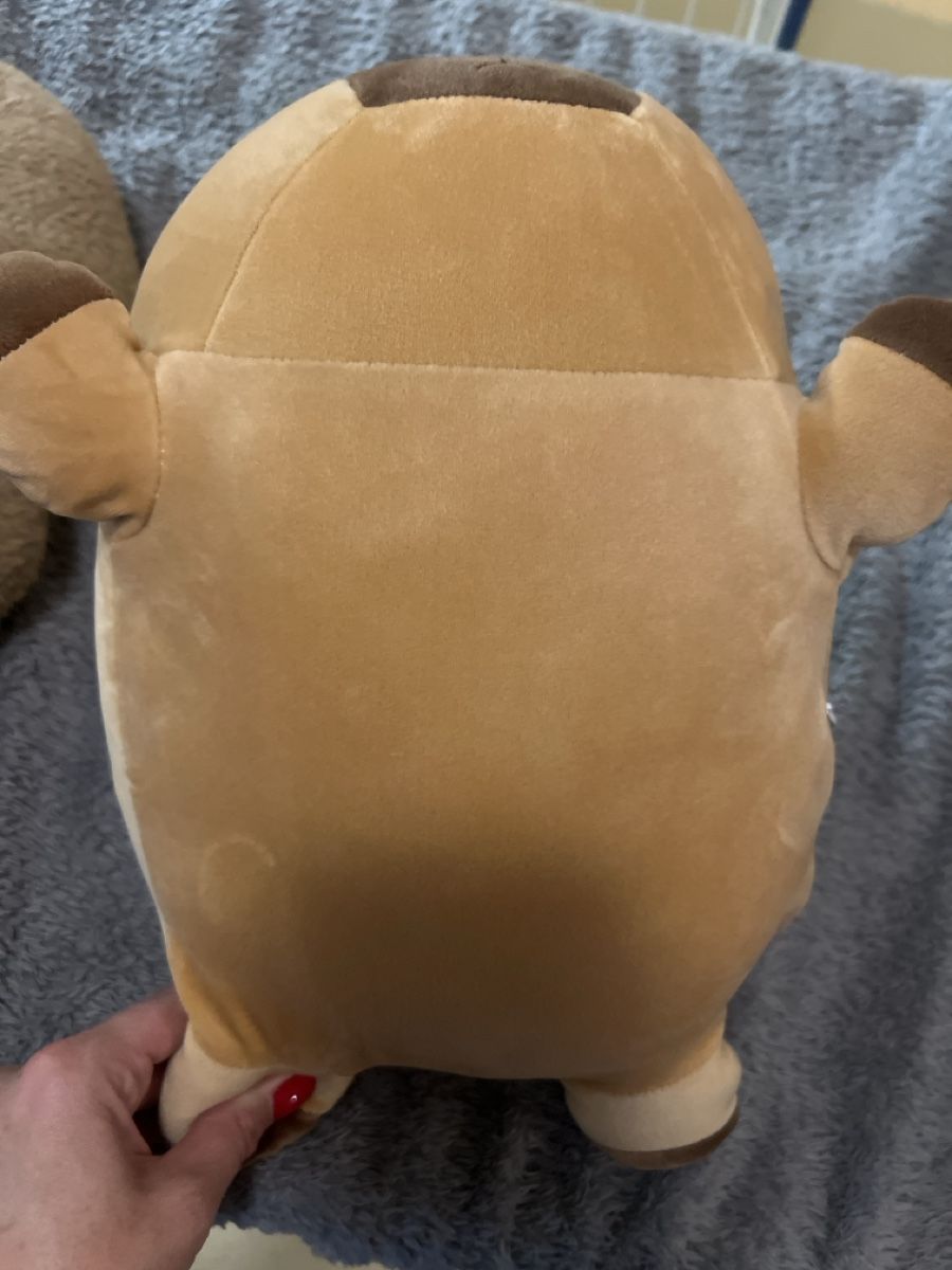 Jouets: Plüschtiere capybara – D'occasion à Laufen par Nachlasverkauf 1