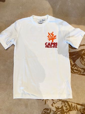 Assouline Capri Thirt by Zara Gr. S