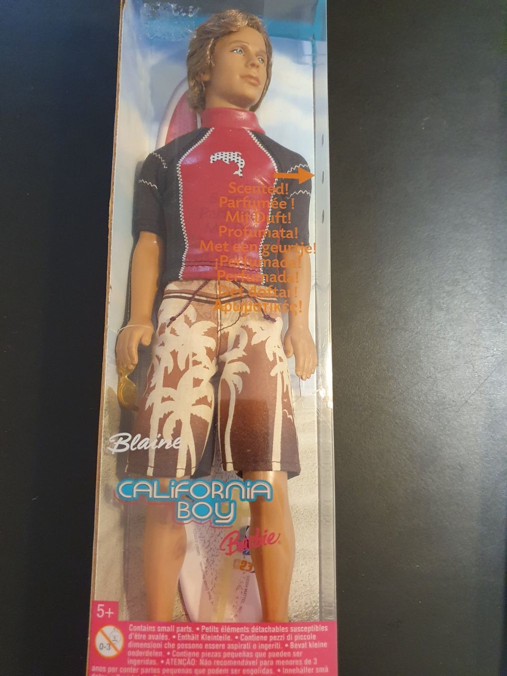 Bambole: Barbie California Boy Blane, 2004 – Usato da Zürich venduto da summersand