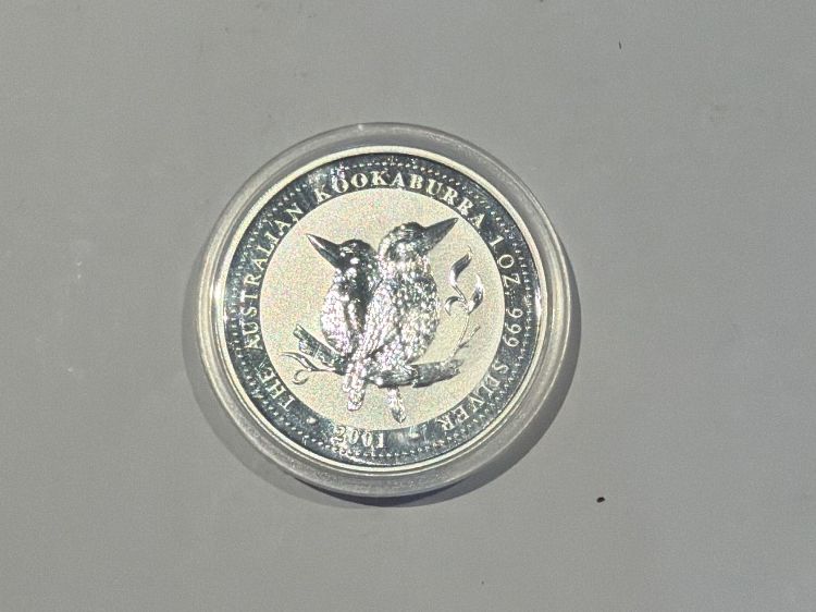Tutti le monete: (2953) 1Unze 2001 Kookaburra – Usato da Rüthi (Rheintal) venduto da erdnuessli1