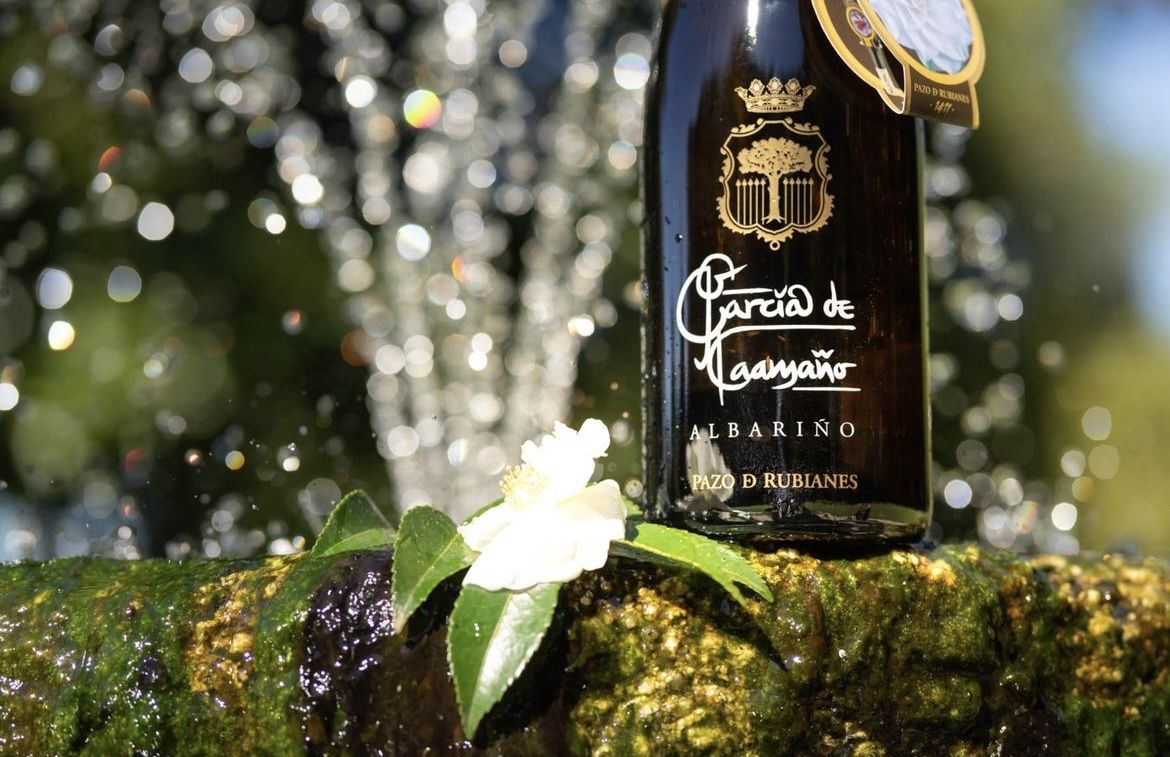 Vino: Vin blanc Albariño 2019 – Nuovo e nell'imballaggio originale da St-Prex venduto da mar_f6t6