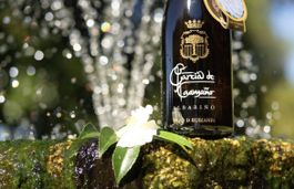 Vin blanc Albariño 2019