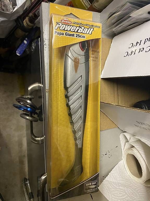 Esche: Berkley Ripple shad 20cm – Usato da Preverenges venduto da Jojoa35 4