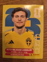 Panini Sticker 2026 SWE 6