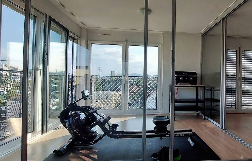 Hometrainer: Rudergerät (Rowing machine Baltic Rower Pro) – Usato da Dübendorf venduto da vskrin 2