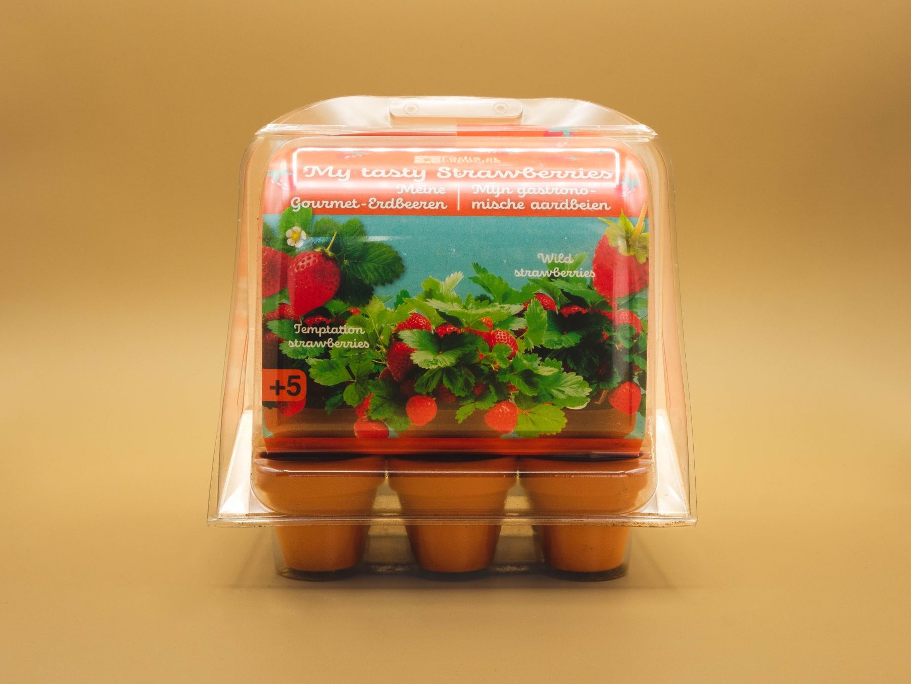 Piante & sementi: Mini Serre - Fraises – Nuovo e nell'imballaggio originale da Prilly venduto da Adrianacometti