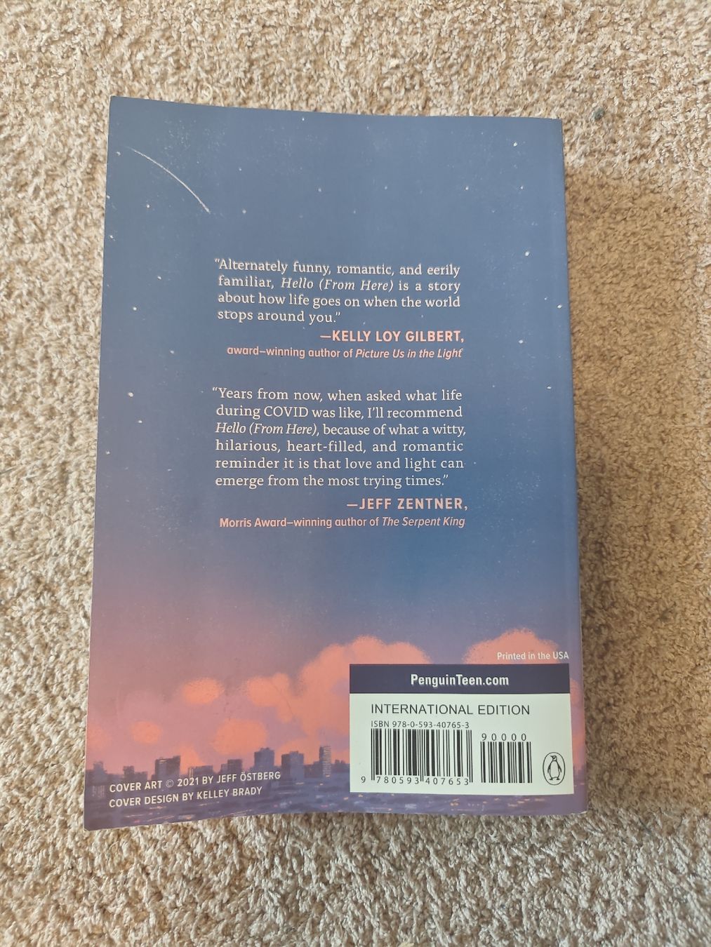 Libri: hello (from here) - Chandler Baker & Wesley King – Usato da Zumikon venduto da miiracl 1