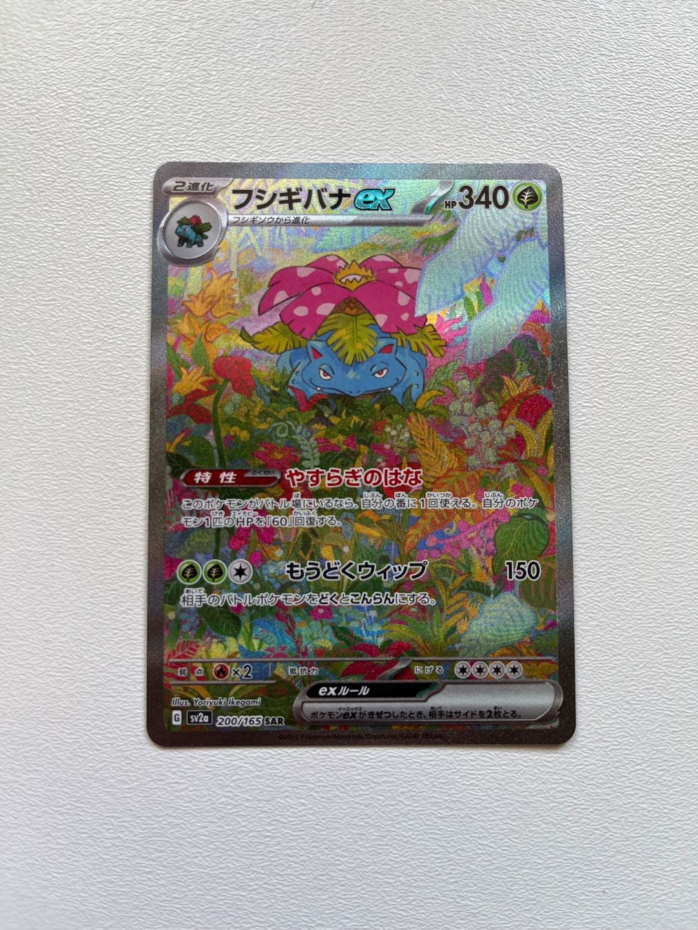 Pokémon Cartes à collectionner: Pokémon 151 Charizard Venusaur Blastoise Evolution sv2a JP – Neuf (Voir description) à Orvin par Sebastien151 1