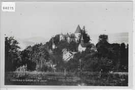 Chateau d'Oron et le Jorat