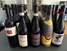 19 Wein Flaschen Faustino, Zeni, Roncaia