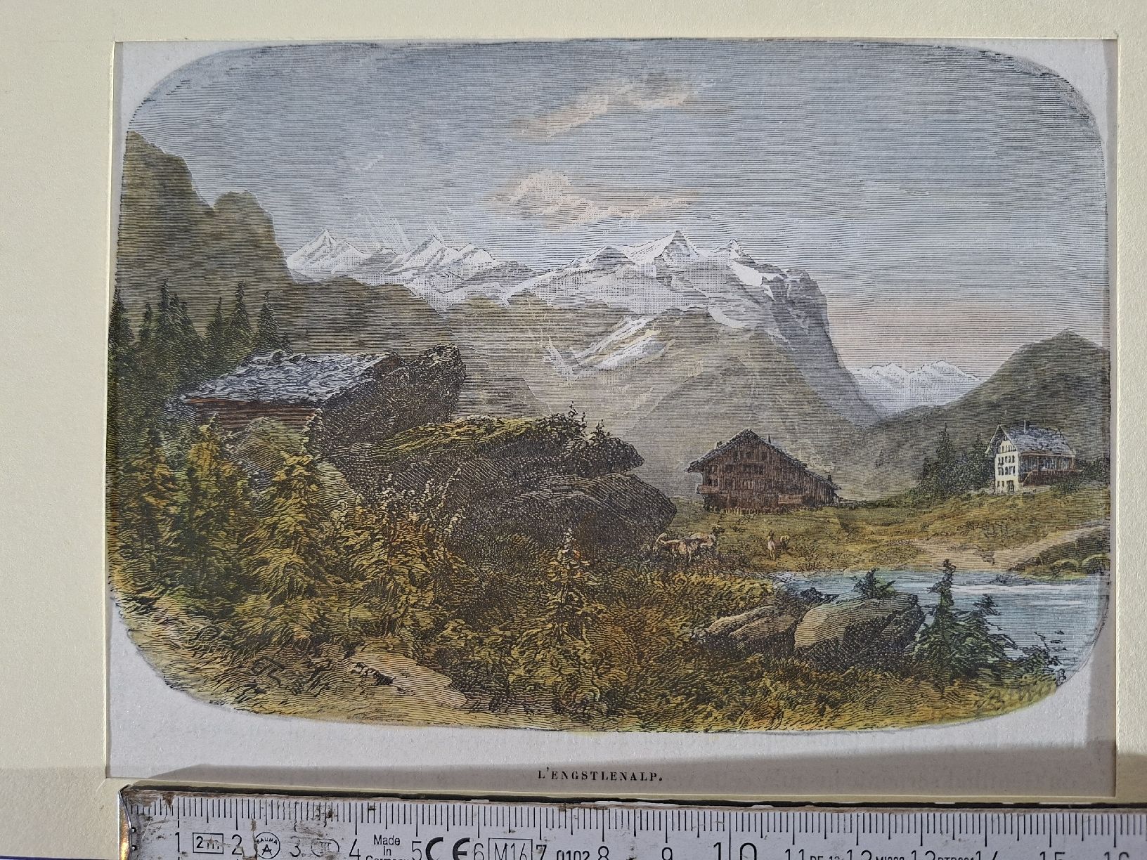 Incisioni: Lot  56 , 10 Stiche  – Usato da Grindelwald venduto da carro5 6