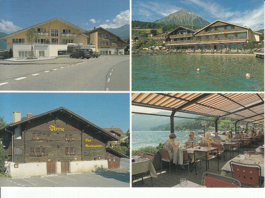 Cartoline postali: Faulensee Seeblick ca. 1990 – Usato da Bürglen TG venduto da StampGraf