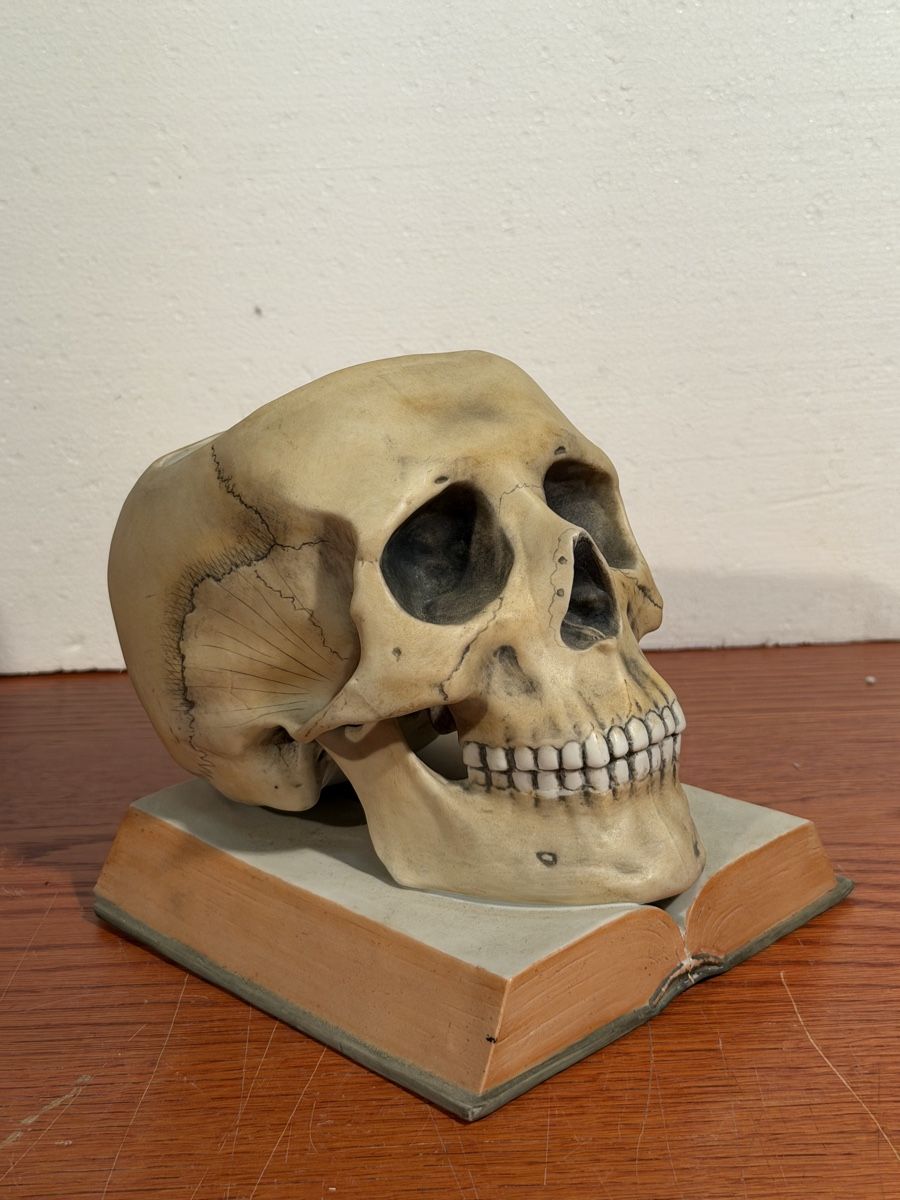 Tutte le decorazioni: Skull Decor ceramic Bookends Realistic Human Skull Model – Usato da Lausanne venduto da vas_mbk2 4