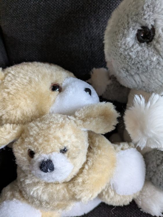 Jouets: Familie mit ihrem Haustier – D'occasion à Schangnau par Manohar48 2