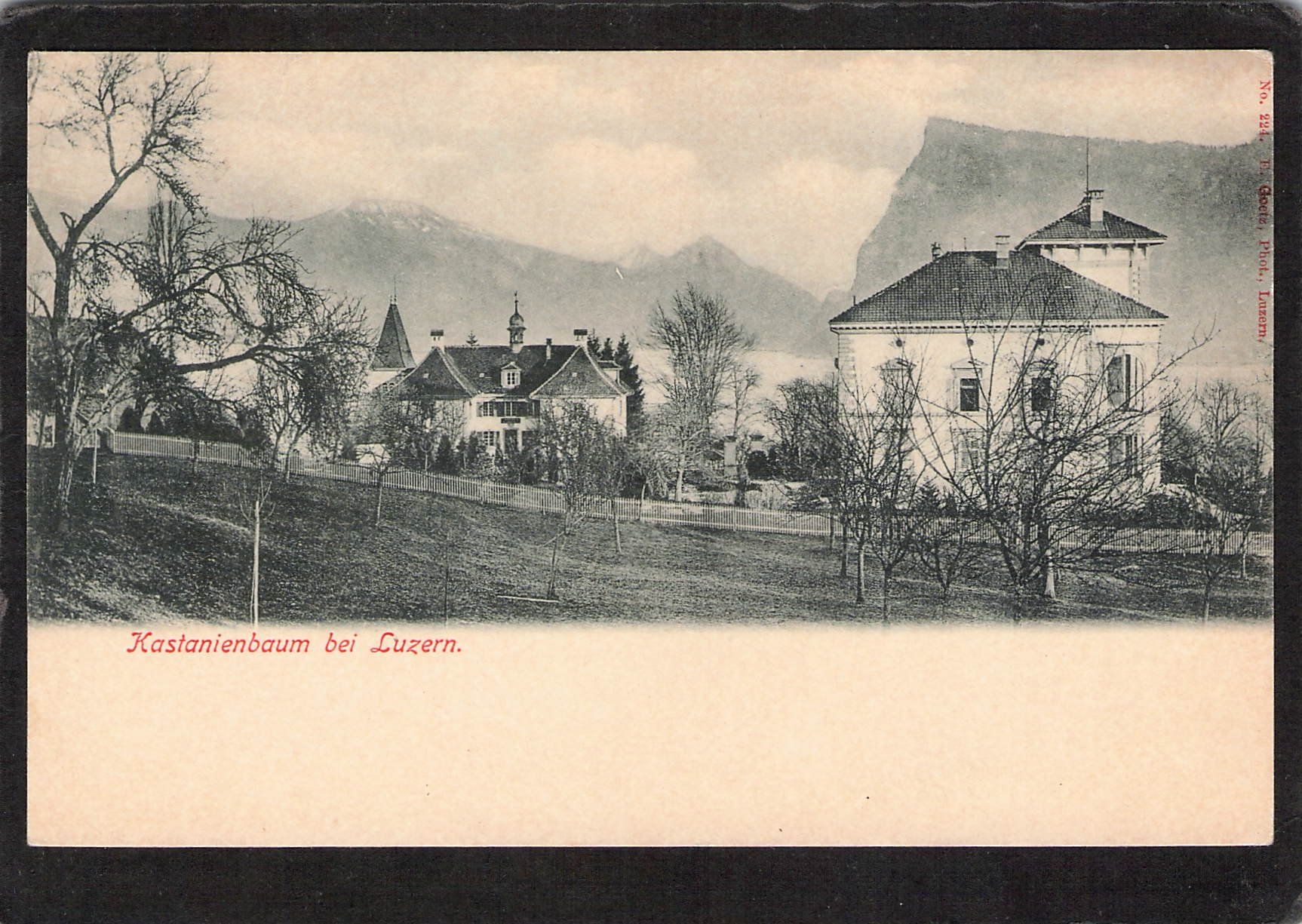 Cartoline postali: Kastanienbaum bei Luzern – Usato da Reichenburg venduto da Pipo-67