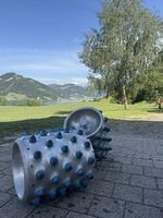Stachelwalzen 