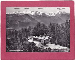 Albishorn mit Berneralpen 1957