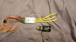 YGE 90LV ESC mit Reishauer / Scorpion F5J Antrieb