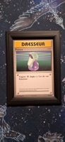 Potion 83/108 - Pokemon Evolutions FR