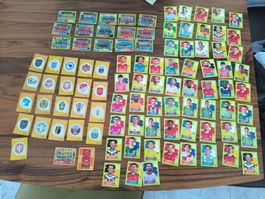 WM 2026 Panini Sammlung 96 Sticker (kostenloser Versand!)