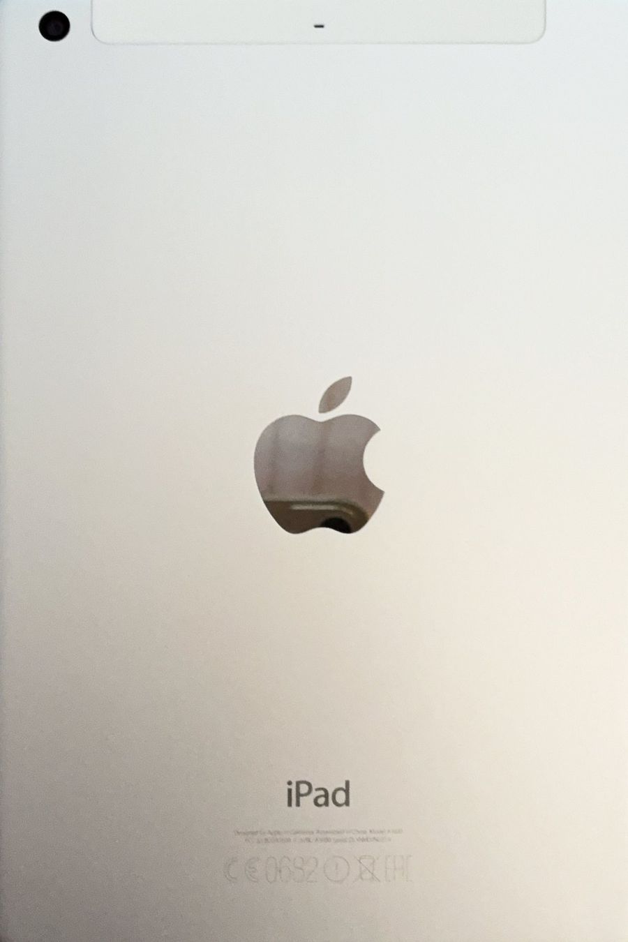 Apple Tablet PC: iPad Mini 3 WiFi Cellular – Usato da Ringgenberg BE venduto da ziggythecat 1