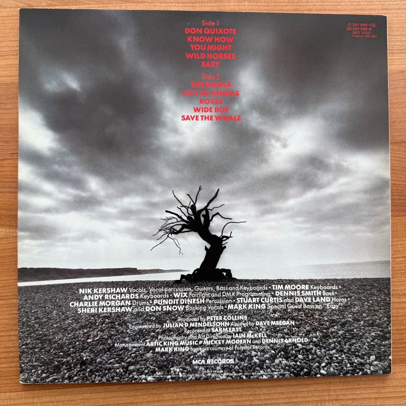 Dischi in vinile: NIK KERSHAW - THE RIDDLE – Usato da Zürich venduto da fehlton 1