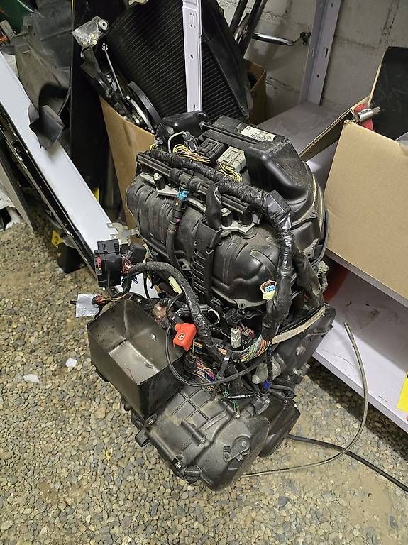 Motori: Honda cbr 600rr motor – Usato da Hinteregg venduto da timo-98