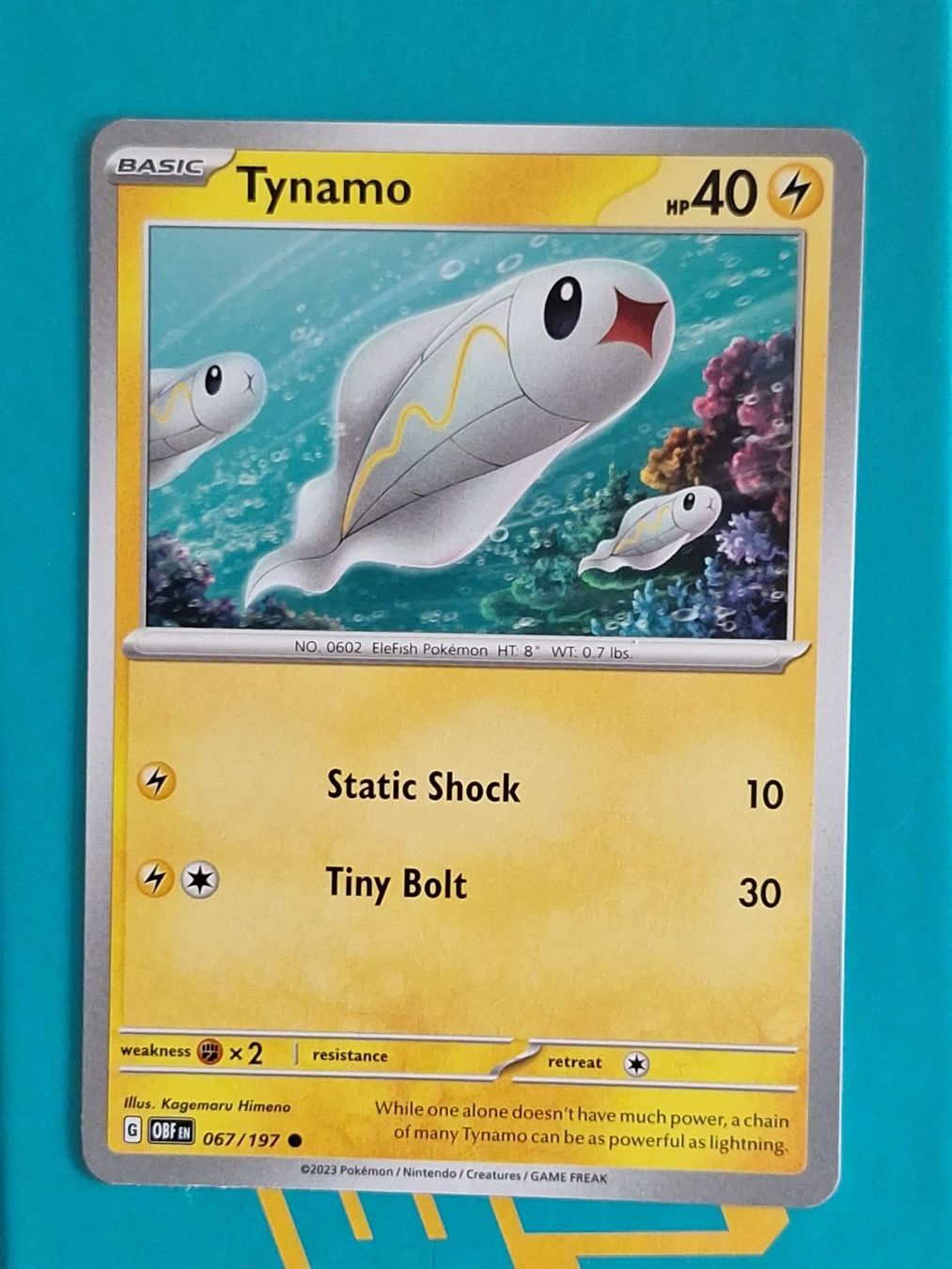 Pokémon Carte collezionabili: Tynamo - Pokemon Obsidian Flames – Usato da Altstätten SG venduto da GGsGameshop