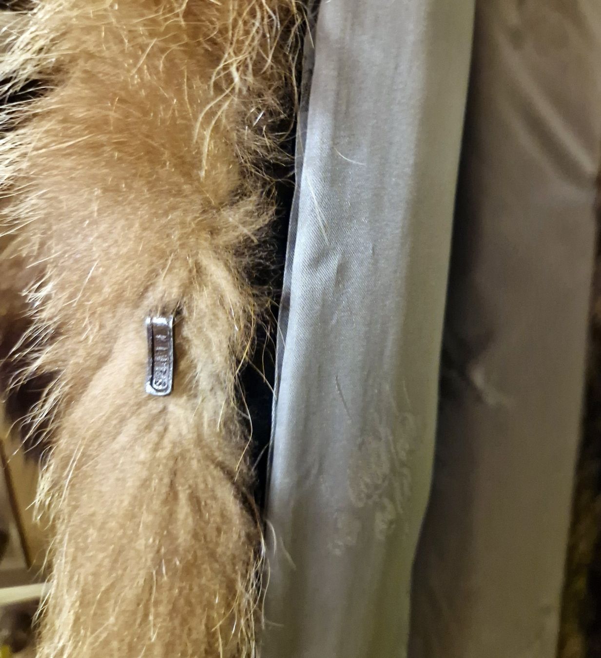 Cappotti: Wunderschöner Waschbär Pelzmantel Gr. 38 – Usato da Stallikon venduto da Oceanblue1 3