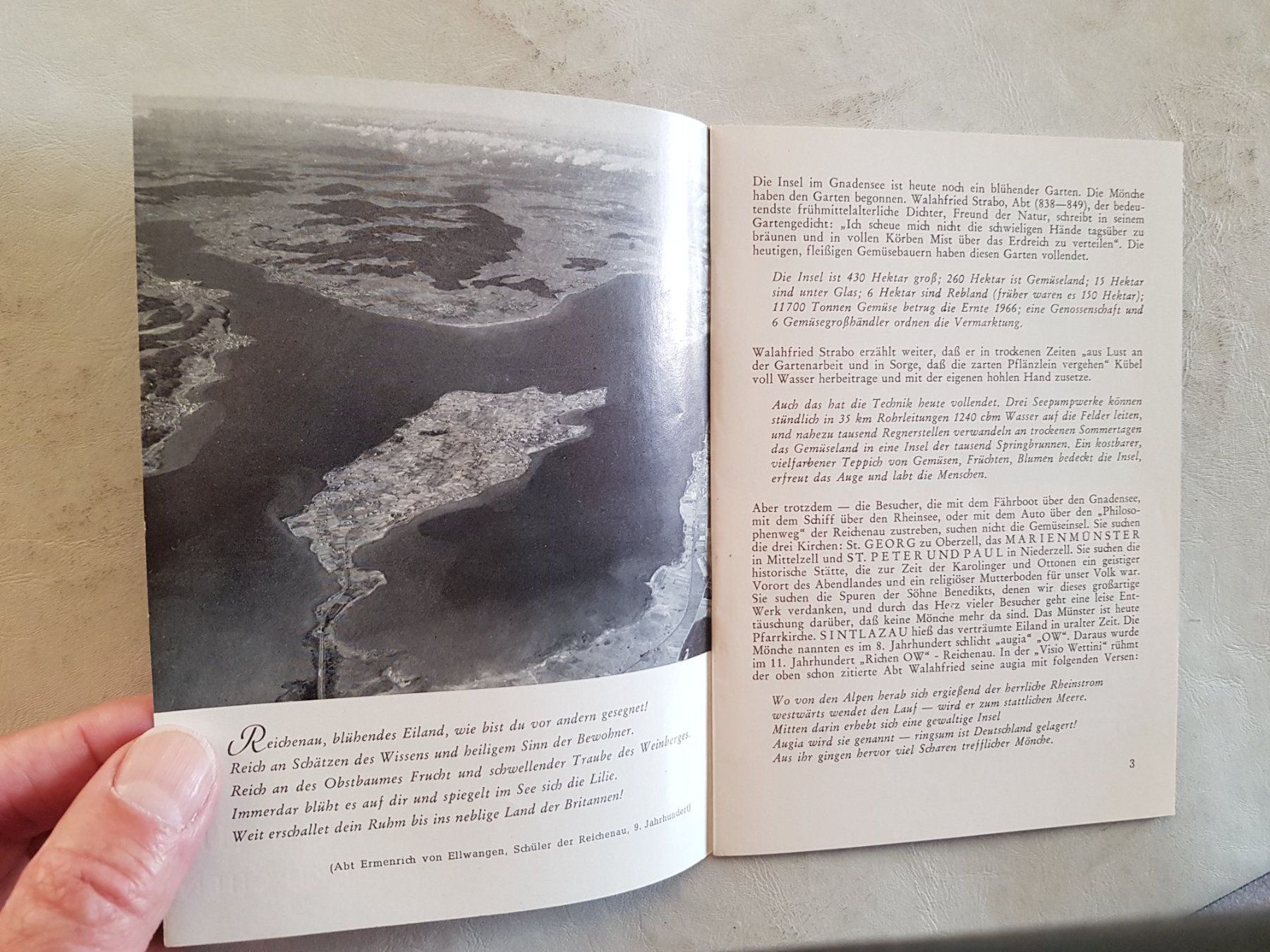 Libri: Die Reichenau und Ihre drei Kirchen  1970 – Usato da Walterswil BE venduto da Lonitti 3