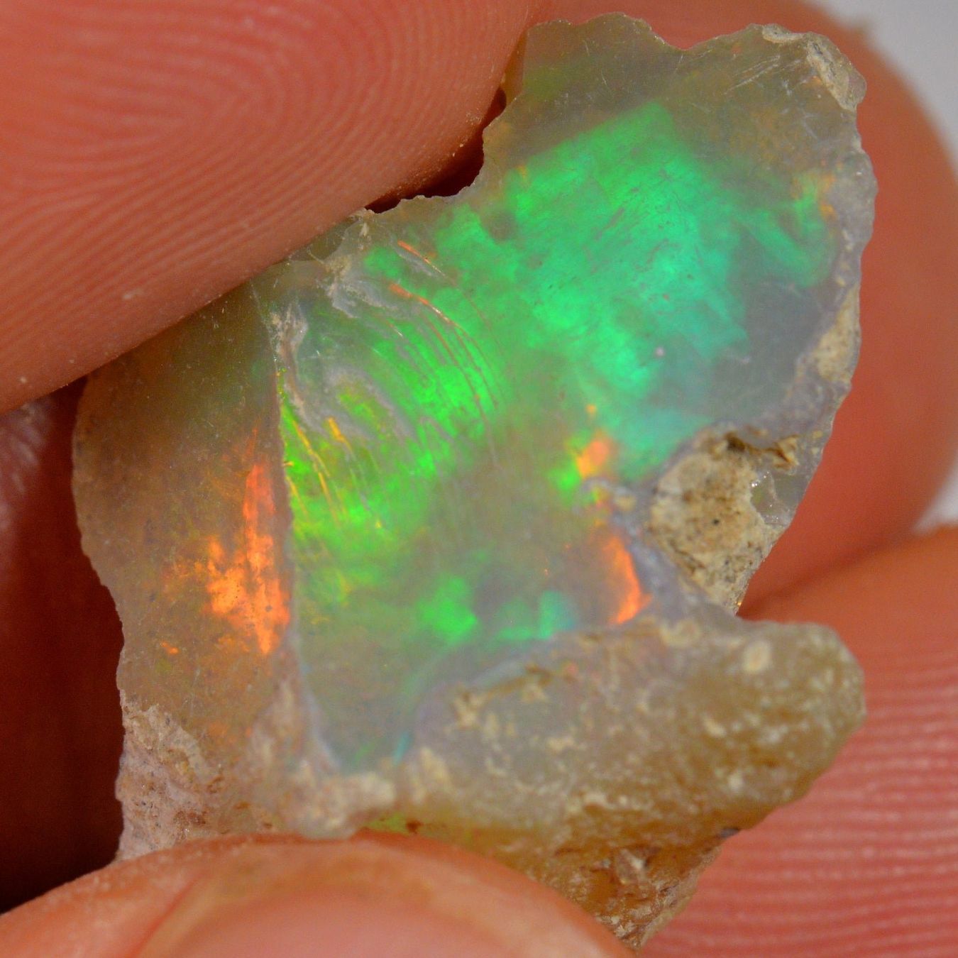 Pietre preziose: 17.1 Karat - Roher Äthiopischer Welo Opal – Nuovo (secondo la descrizione) da Rüti ZH venduto da DeinOpal 4