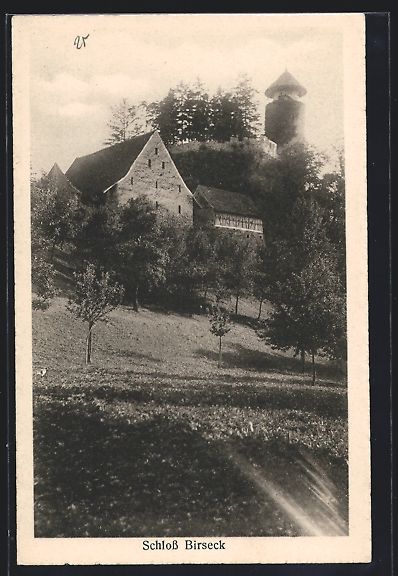 Cartoline postali: AK Birseck, Schloss Birseck – Usato da Berlin venduto da bartko-reher