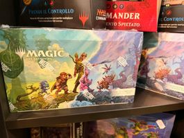 Magic the Gathering Lorwyn Eclipsed booster set EN