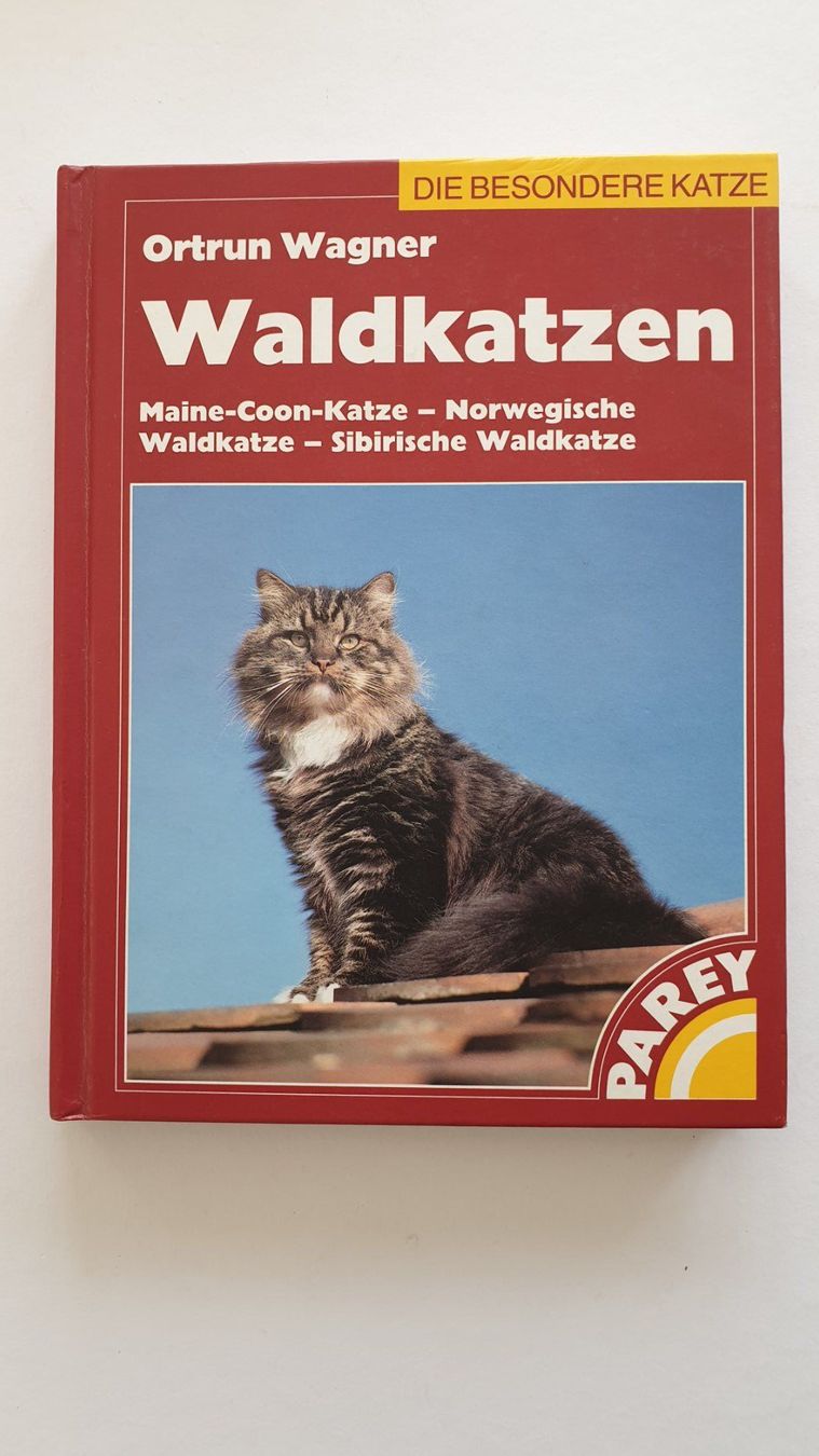 Libri: Katzenbücher – Usato da Goldach venduto da armando_r 3