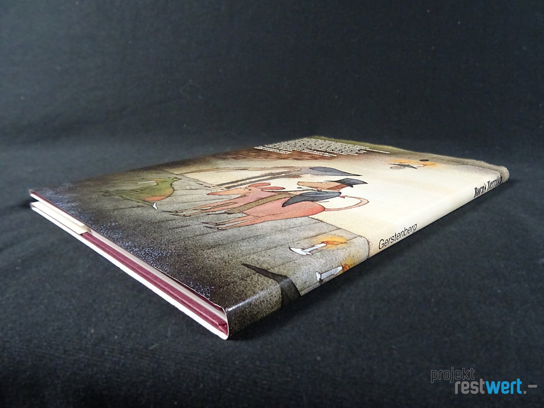 Libri: Born`s Tierreich, Buch von ADOLF BORN – Usato da Bülach venduto da restwert_buelach 1