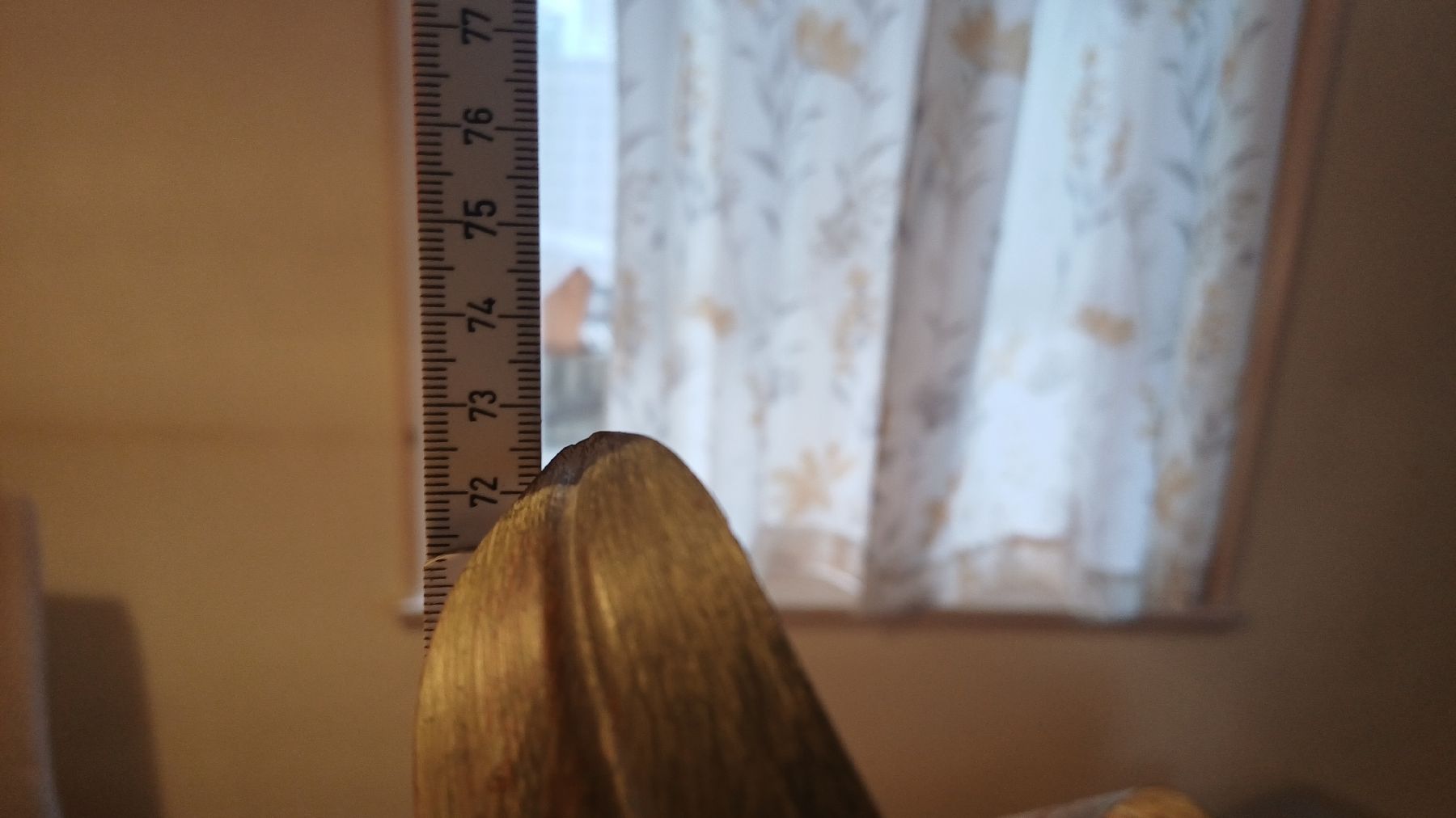 Lampade: Florentiner Vintage Lampe – Usato da Flawil venduto da Naphtali 7