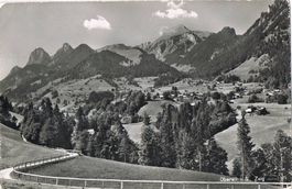 Oberwil i. S., Zelg