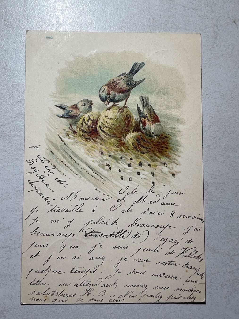Cartoline postali: Alte Ansichtskarte, Wintervögel, – Usato da Strengelbach venduto da Aschatan5