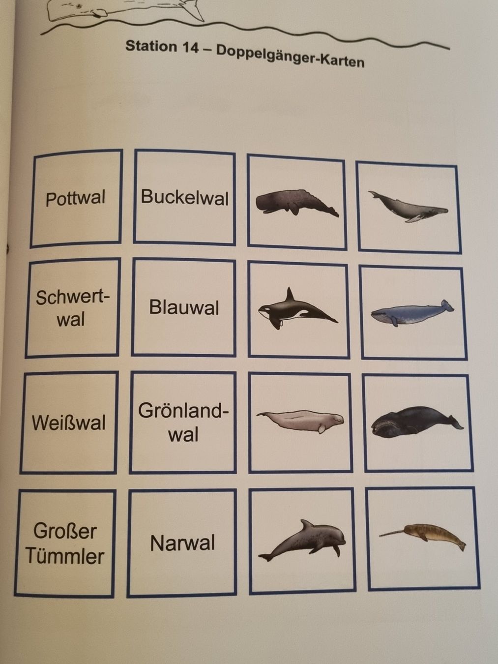 Libri: "Der Wal" Lernwerkstatt 3-4 Klasse – Usato da Weite venduto da Nur63 6
