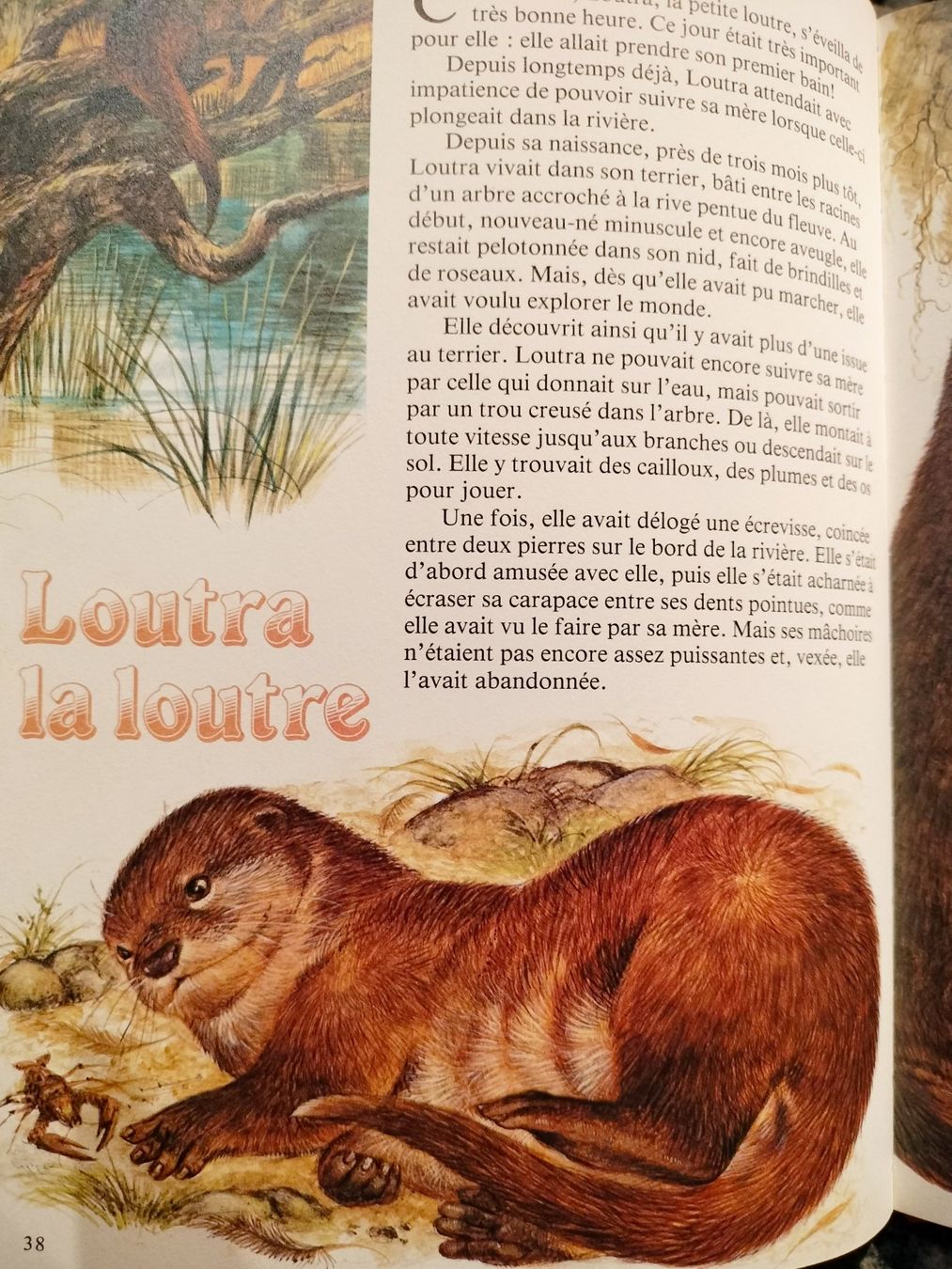 Libri: Poucette et autres contes – Usato da Cortaillod venduto da rozinna 5