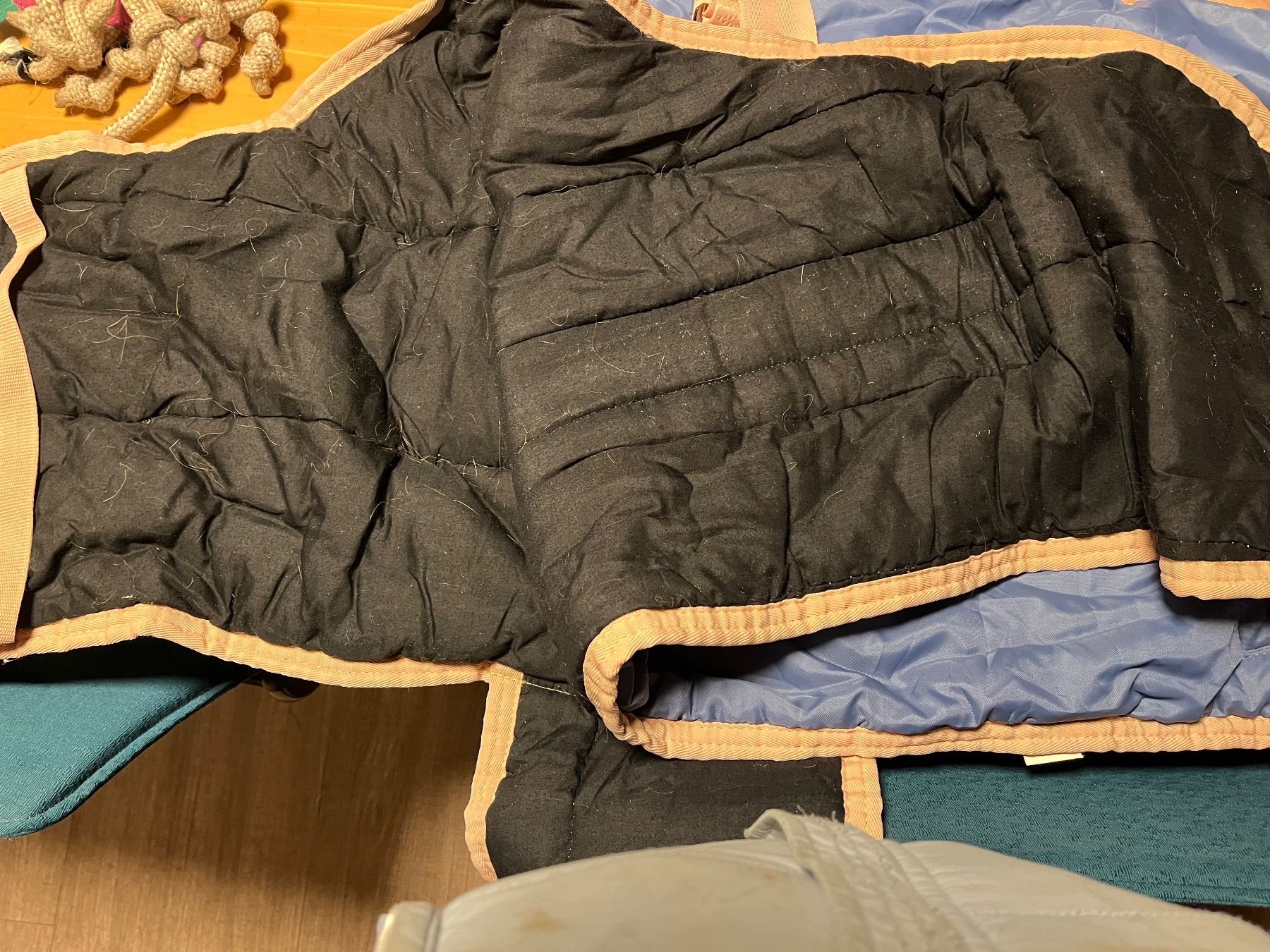 Decken: Fohlendecke hellblau – Gebraucht aus Oppligen von chicca25 2
