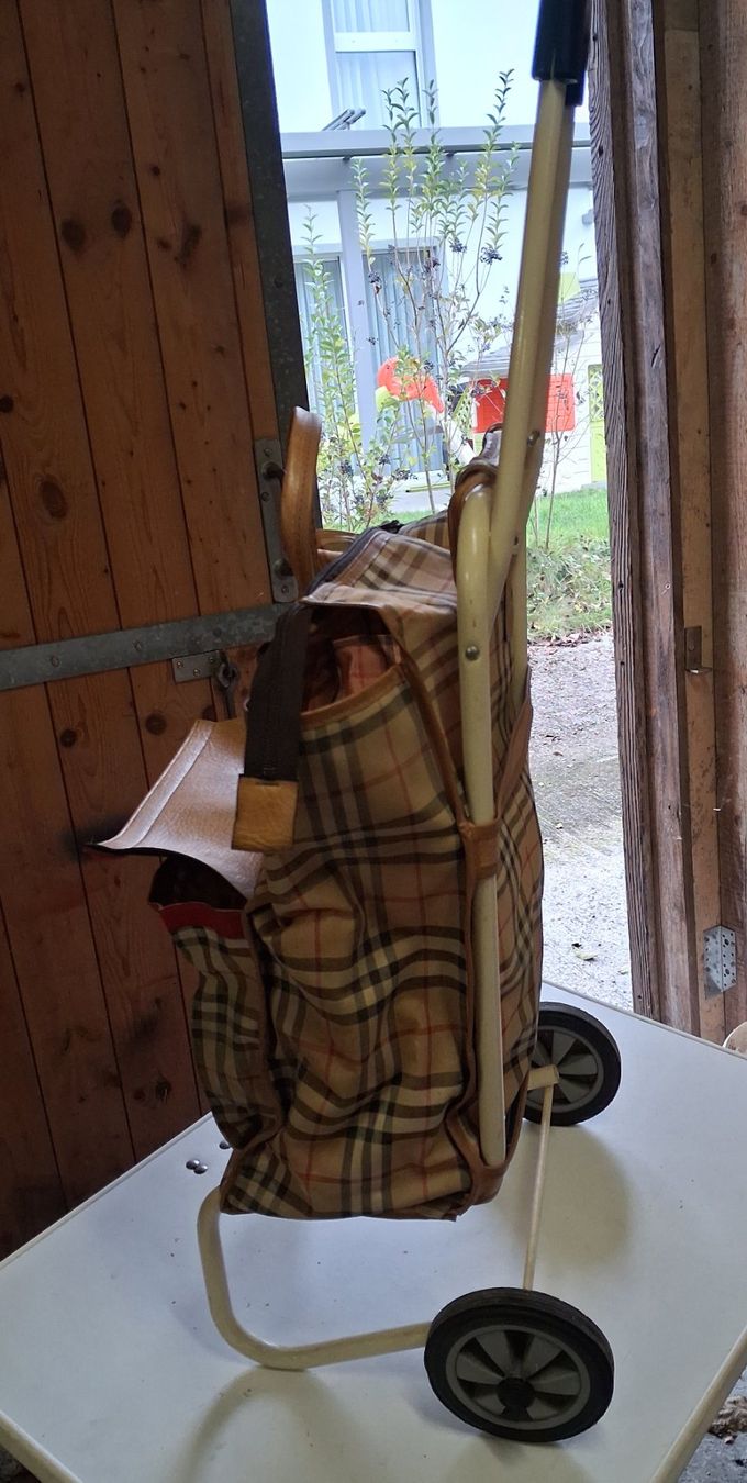 Altro per la casa: Einkaufswagen / Trolley – Usato da Tägerig venduto da rob_psv5 1