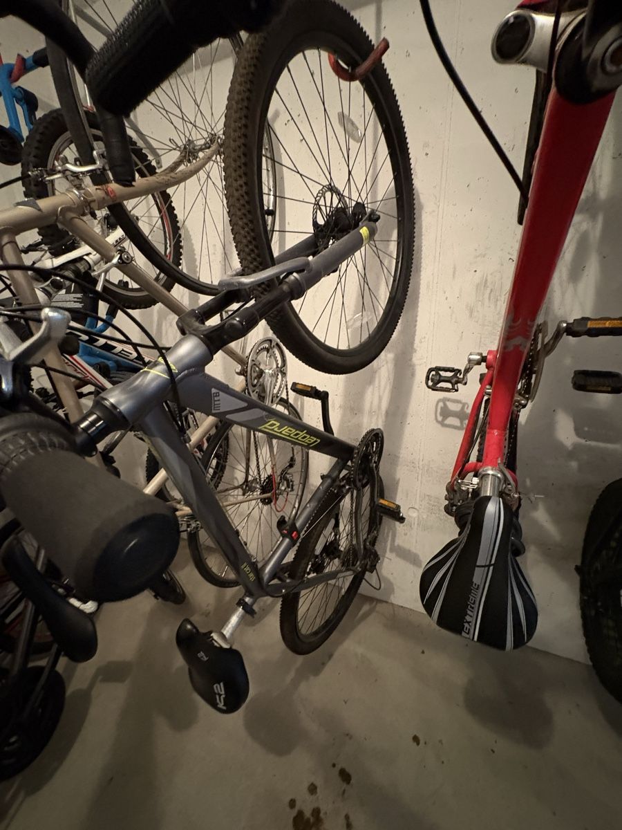 Velos: Fahrrad – Gebraucht aus Zürich von damiano10 4