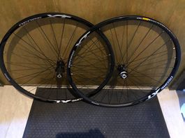 Shimano WH-8000 29" alloy Mtb ruote 10sp cassette tubless