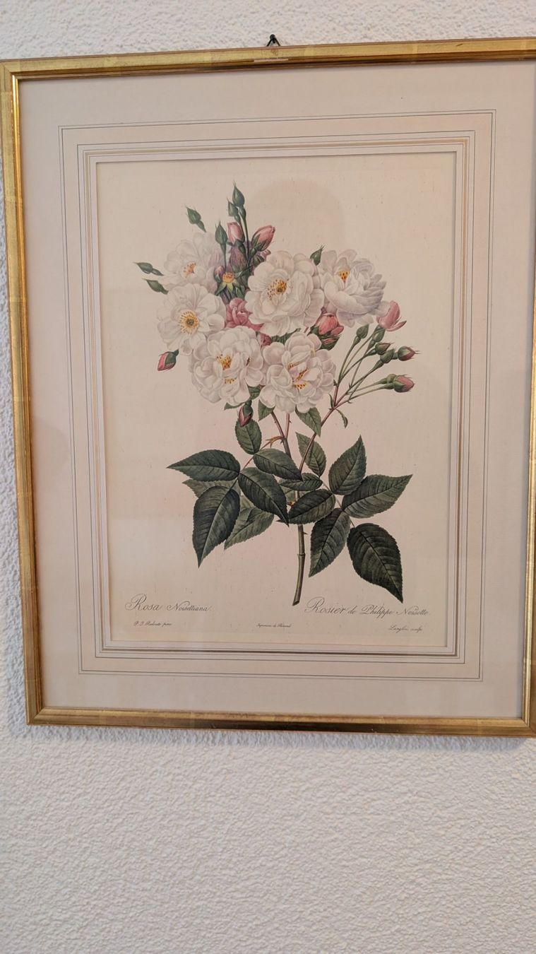 Stiche: Vier Stiche mit Rosenmotiven – Gebraucht aus Ittigen von stoney63