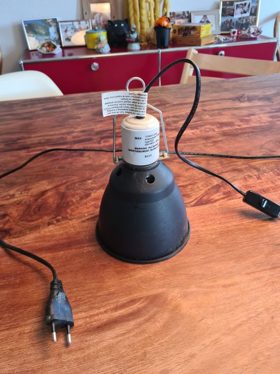 Terrarium Tageslicht Lampe Kaufen auf Ricardo