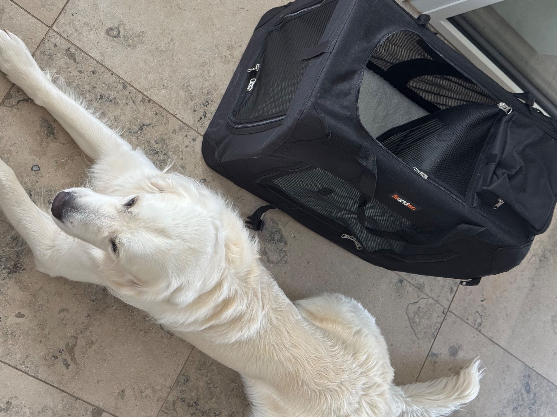 Liege- & Schlafplätze: Feandrea Dog Carrier / Crate – Neu (gemäss Beschreibung) aus Zürich von strelitziakiwi 4