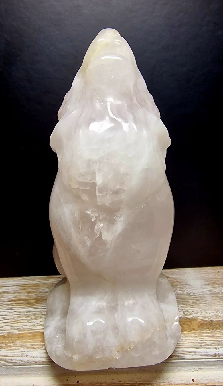 Minerali & Pietre curative: Bergkristall Wolf 848g – Nuovo (secondo la descrizione) da Matzingen venduto da Shay_Crystalz 1