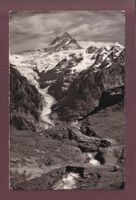 GRINDELWALD - Bachalp - 1953